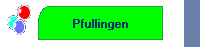 Pfullingen